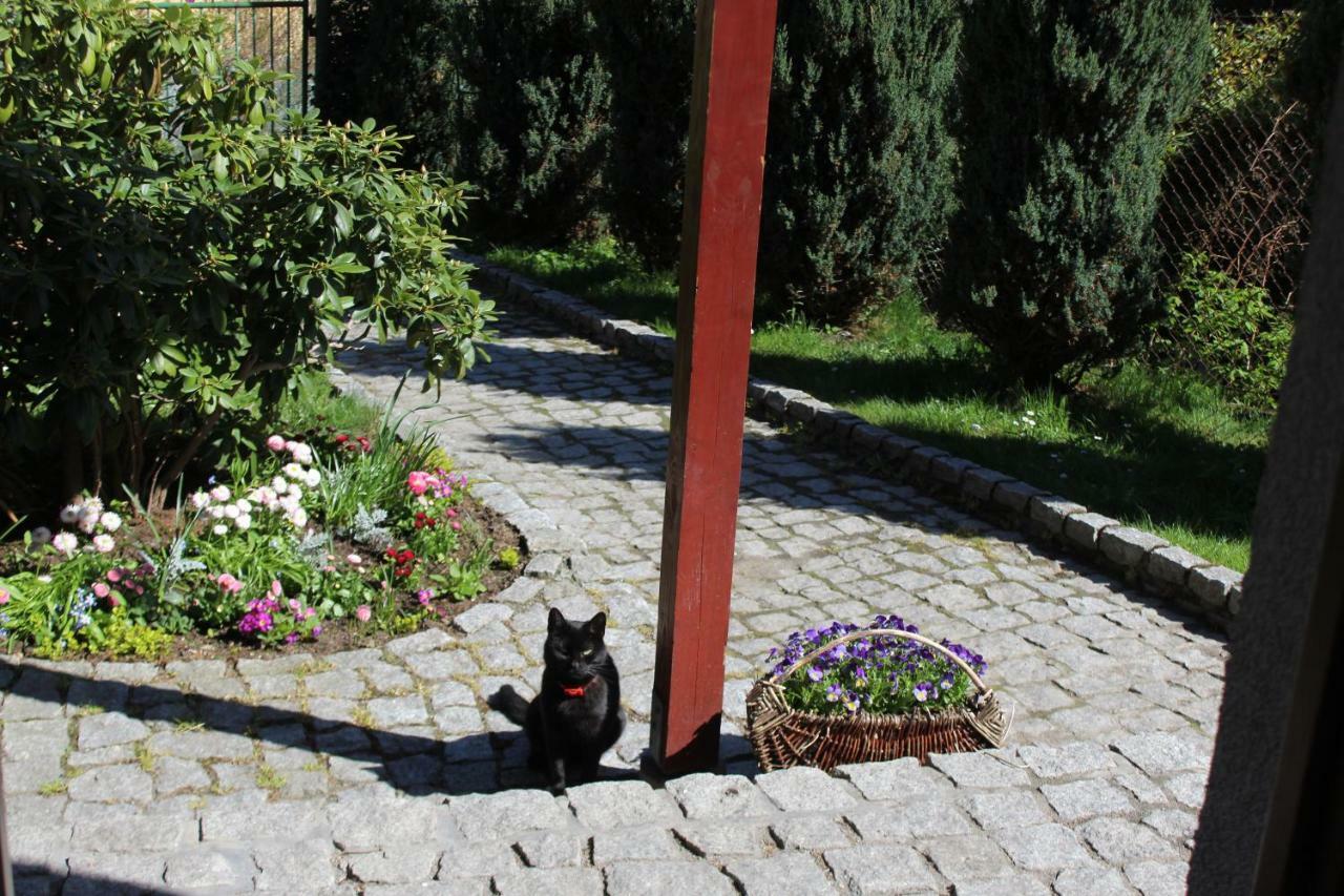 Pokoj Kameralny- De Luxe Z Oddzielnym Wejsciem Karpacz Exteriér fotografie